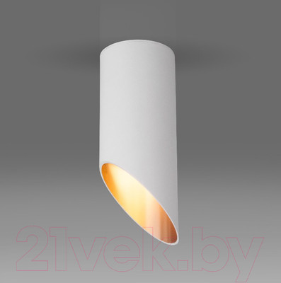 Точечный светильник Elektrostandard DLN114 GU10 (белый/золото)