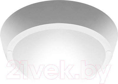 Светильник ЖКХ JAZZway 5017238