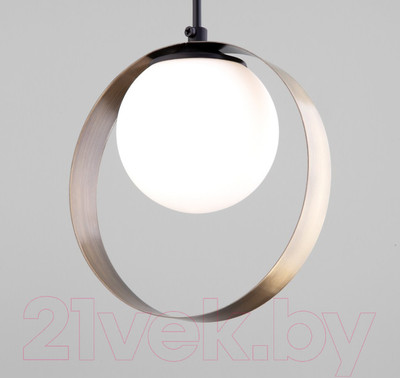 Потолочный светильник Евросвет Dublin 50205/1 (черный/бронза)