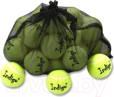 Набор теннисных мячей Indigo Sport IN154 (24шт, желтый)