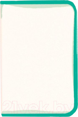 Папка для тетрадей Оникс ПТ-10 (зеленый)