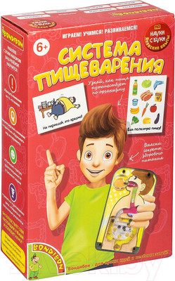 Научная игра Bondibon Японские опыты. Система пищеварения / ВВ4727