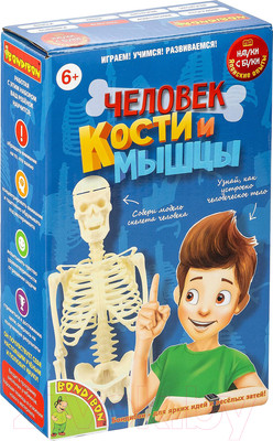 Научная игра Bondibon Японские опыты. Человек. Кости и мышцы / ВВ4728