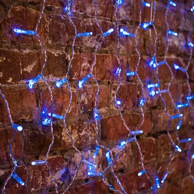 Светодиодная бахрома Neon-Night Дождь 235-103 (2x0.8м, синий)