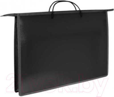 Папка-портфель ArtSpace ПР3-3413