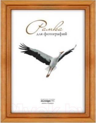 Рамка ПАЛИТРА Д17К 40x60