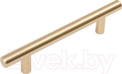 Ручка для мебели Boyard RR002 / RR002BSG.5/96 (цвет BSG)