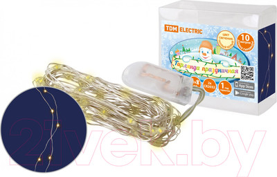 Светодиодная гирлянда TDM SQ0361-0056