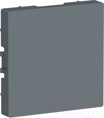 Декоративная заглушка для розетки Systeme (Schneider) Electric AtlasDesign ATN000709