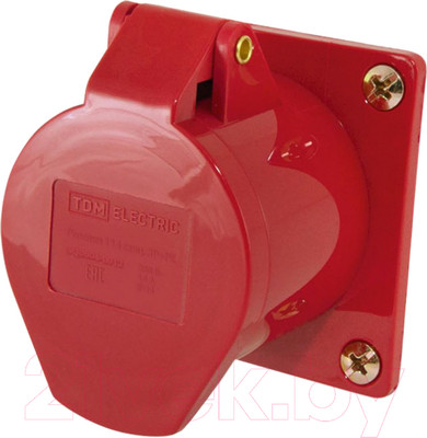 Розетка силовая TDM SQ0604-0012