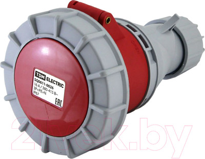 Розетка силовая TDM SQ0611-0026