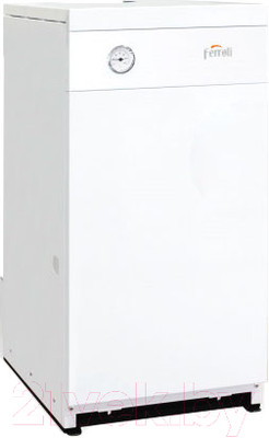 Газовый котел Ferroli Torino 40
