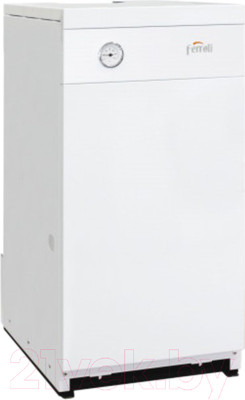 Газовый котел Ferroli Torino 100