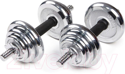 Набор гантелей разборных Atlas Sport Хром 20кг (в чемодане)