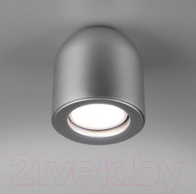 Точечный светильник Elektrostandard DLN116 GU10 (серебро)