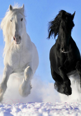 Инфракрасный обогреватель БРТЗ Пегас 19с425