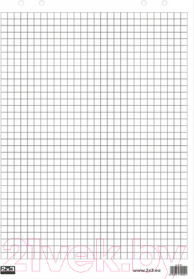 Бумага для флипчарта 2x3 99х66см / B05 (20л)