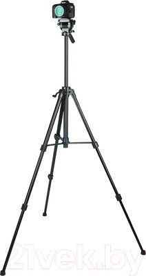 Штатив GreenBean VideoCraft 316 / 23188