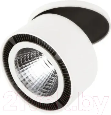 Точечный светильник Lightstar Forte Inca 213806