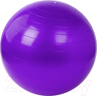 Фитбол гладкий Darvish DV-S-211 (ассорти)