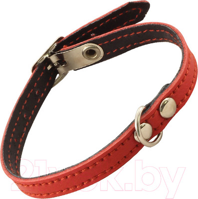 Ошейник Gamma Мини кожаный двойной с кольцом / 11232092