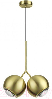 Потолочный светильник Odeon Light Mia 4227/12LA