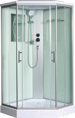 Душевая кабина WeltWasser WW500 Nesse 1002