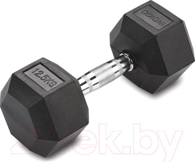 Гантель Indigo Sport IN124 (12.5кг, черный)