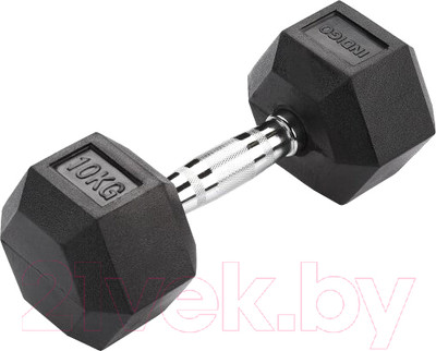 Гантель Indigo Sport IN124 (10кг, черный)