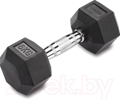 Гантель Indigo Sport IN124 (6кг, черный)