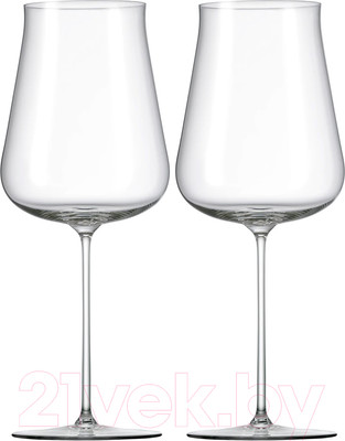 Набор бокалов Rona Polaris 76 7251/UM/760 (2шт)