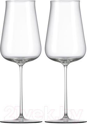 Набор бокалов Rona Polaris 45 7251/UM/450 (2шт)