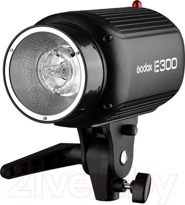 Вспышка студийная Godox E250 / 26276