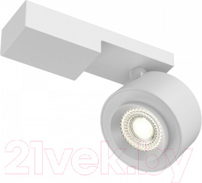 Спот Maytoni Treo C062CL-L12W3K