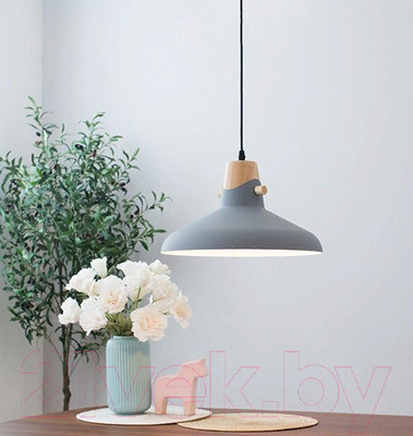 Потолочный светильник Home Light Астерия A039-2 (серый)