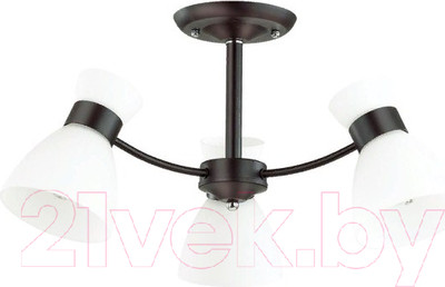 Люстра Lumion Wilma 4534/3C