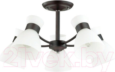 Люстра Lumion Wilma 4534/5C