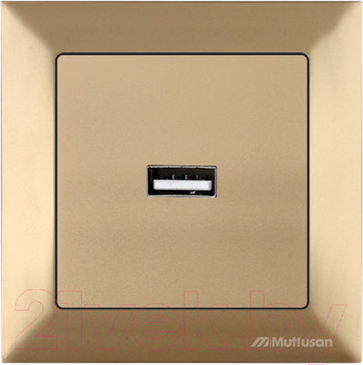 Розетка Mutlusan Daria 2120 448 0180 (золото)