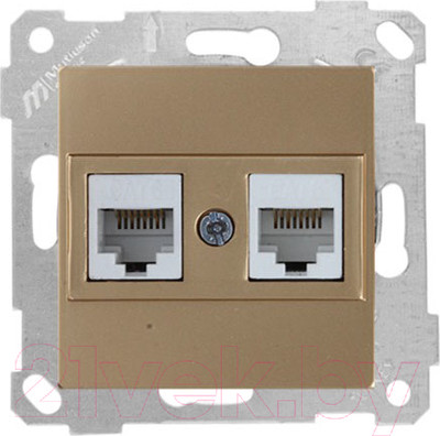 Розетка Mutlusan Rita 2200 141 0180 (золото)