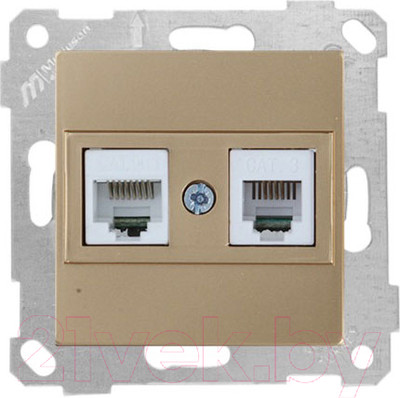 Розетка Mutlusan Rita 2200 139 0180 (золото)