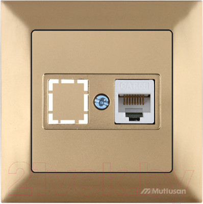 Розетка Mutlusan Daria 2120 136 0180 (золото)