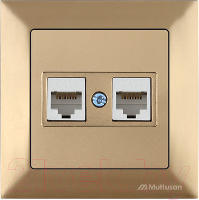 Розетка Mutlusan Daria 2120 141 0180 (золото)