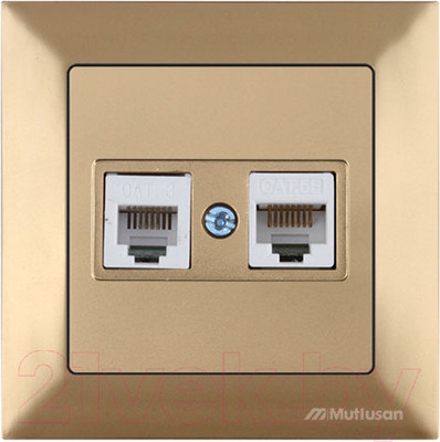 Розетка Mutlusan Daria 2120 139 0180 (золото)