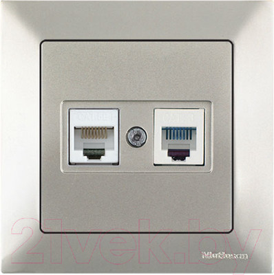 Розетка Mutlusan Daria 2120 139 0183 (титан)