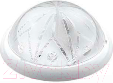 Светильник ЖКХ Borsan BR-00203-020