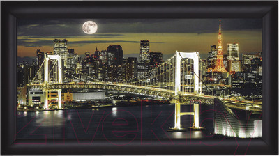 Картина Декарт Ночной Нью-Йорк 8Л2555 ( раме)
