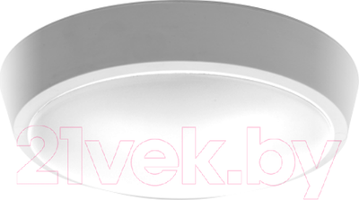 Светильник ЖКХ JAZZway 1024602A