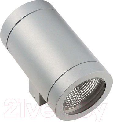 Бра уличное Lightstar Paro 351619 IP65