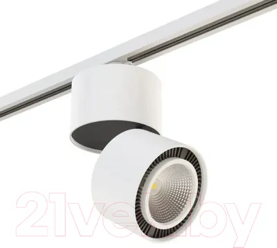 Трековый светильник Lightstar Forte Muro A1T213830