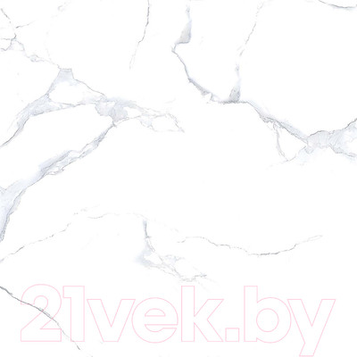 Плитка Netto Alpine Carrara Polished (600x600)